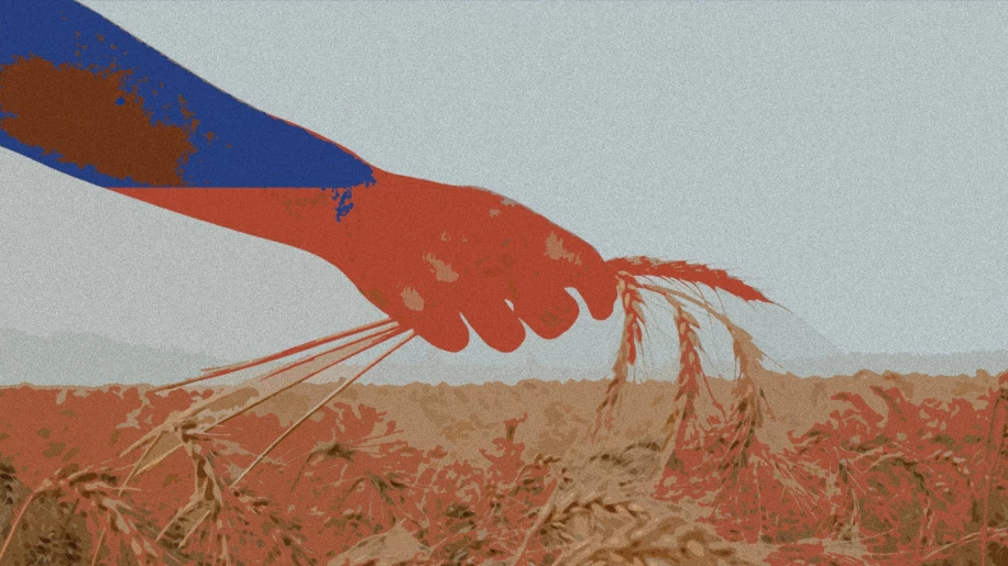 Who exports stolen Ukrainian grain? National Research Agency confirmed the Russian scheme of stealing Ukrainian grain.